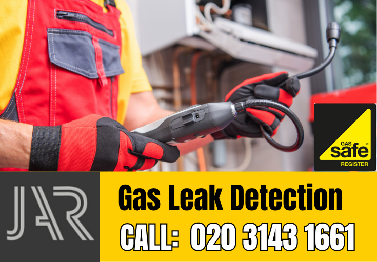 gas leak detection Ashford